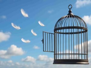 Breaking the Cycle, Building the New Me
